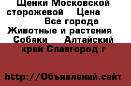 Щенки Московской сторожевой  › Цена ­ 25 000 - Все города Животные и растения » Собаки   . Алтайский край,Славгород г.